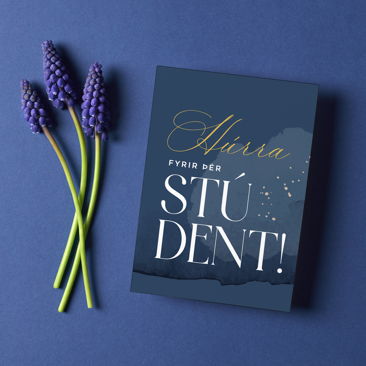 Studio Vast - kort með umslagi