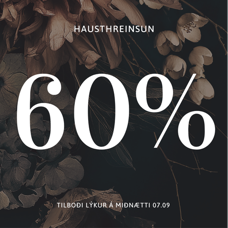 -60% Hausthreinsun 2026
