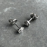 Krista- Stálrósir- litlir