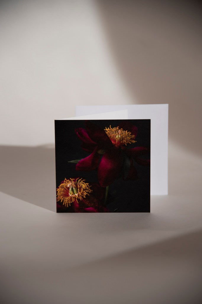 Tækifæriskort Tinna Magg