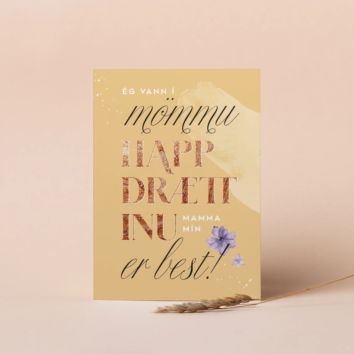 Studio Vast - kort með umslagi