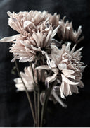 Tækifæriskort Tinna Magg